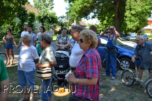 Patkányok is szaladgálnak a szemétkupacnál 1