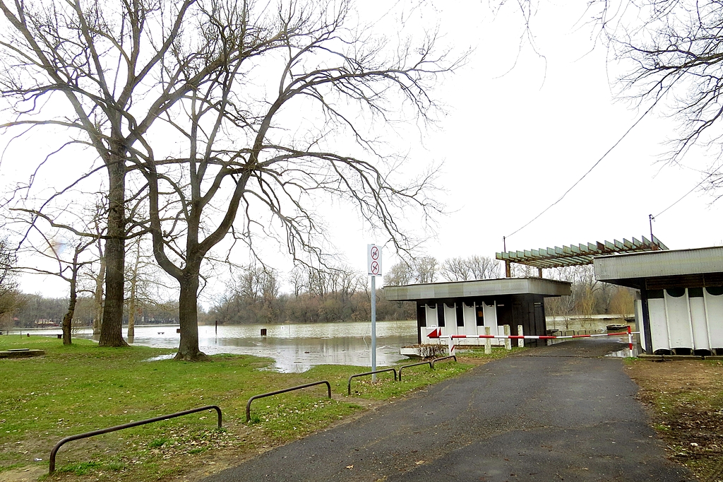 Már majdnem a járdát nyaldossa a Tisza Mártélynál 8