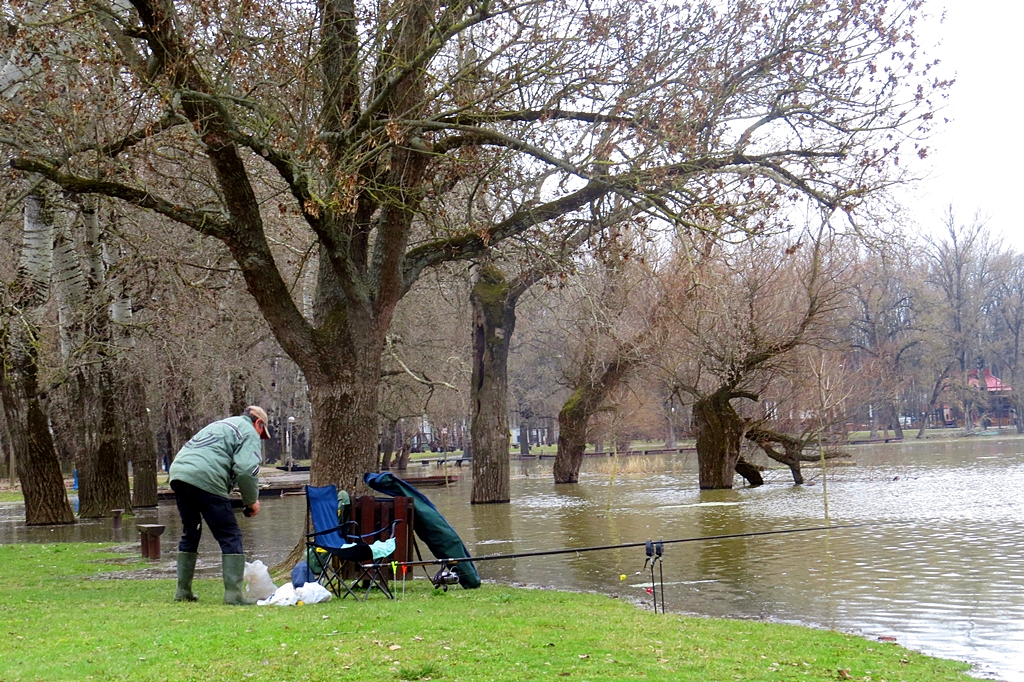 Már majdnem a járdát nyaldossa a Tisza Mártélynál 3