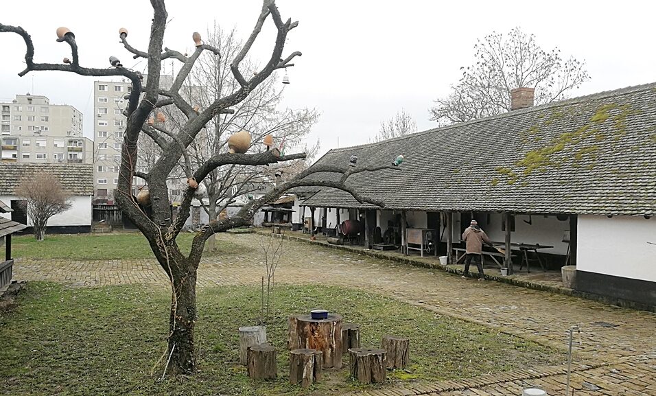 Két év után újra kinyit a Tájház 4