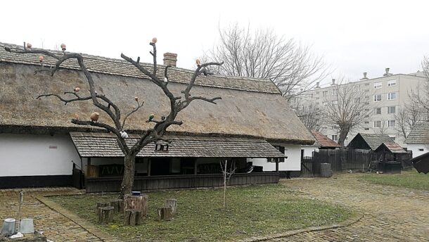 Két év után újra kinyit a Tájház 5