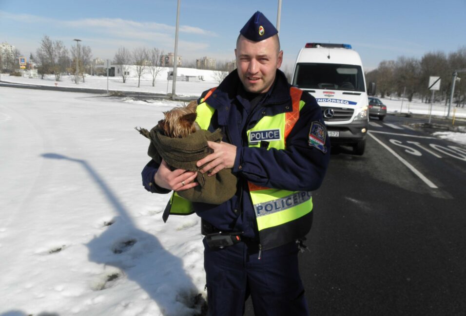 Kiskutyát mentett a vásárhelyi rendőr