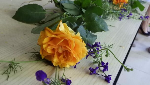 Elballagtak a Mezőgazdasági Kar végzősei (fotók) 3