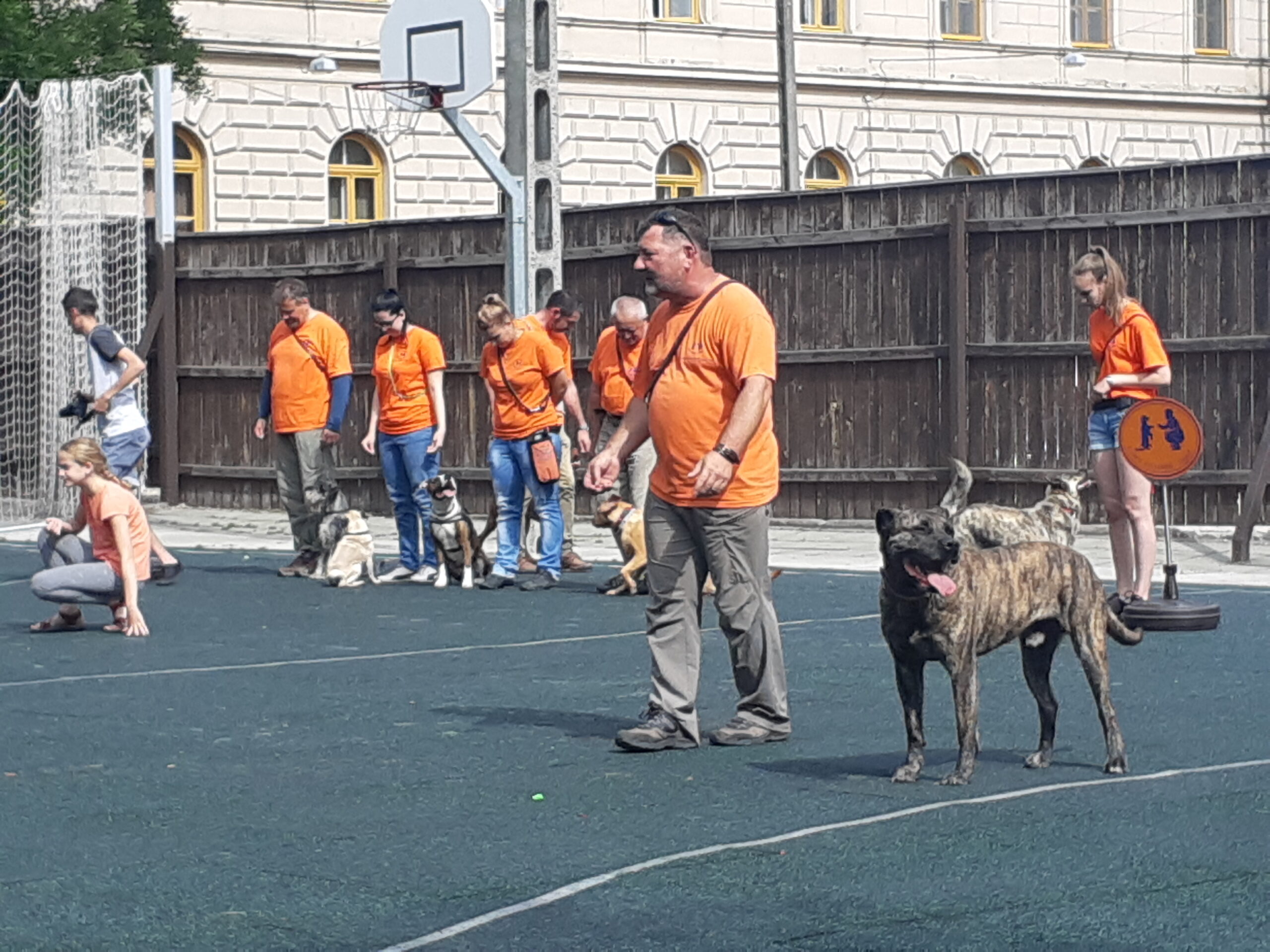 Trükkös kutyák szerepeltek a Bethlen egészségnapján 9