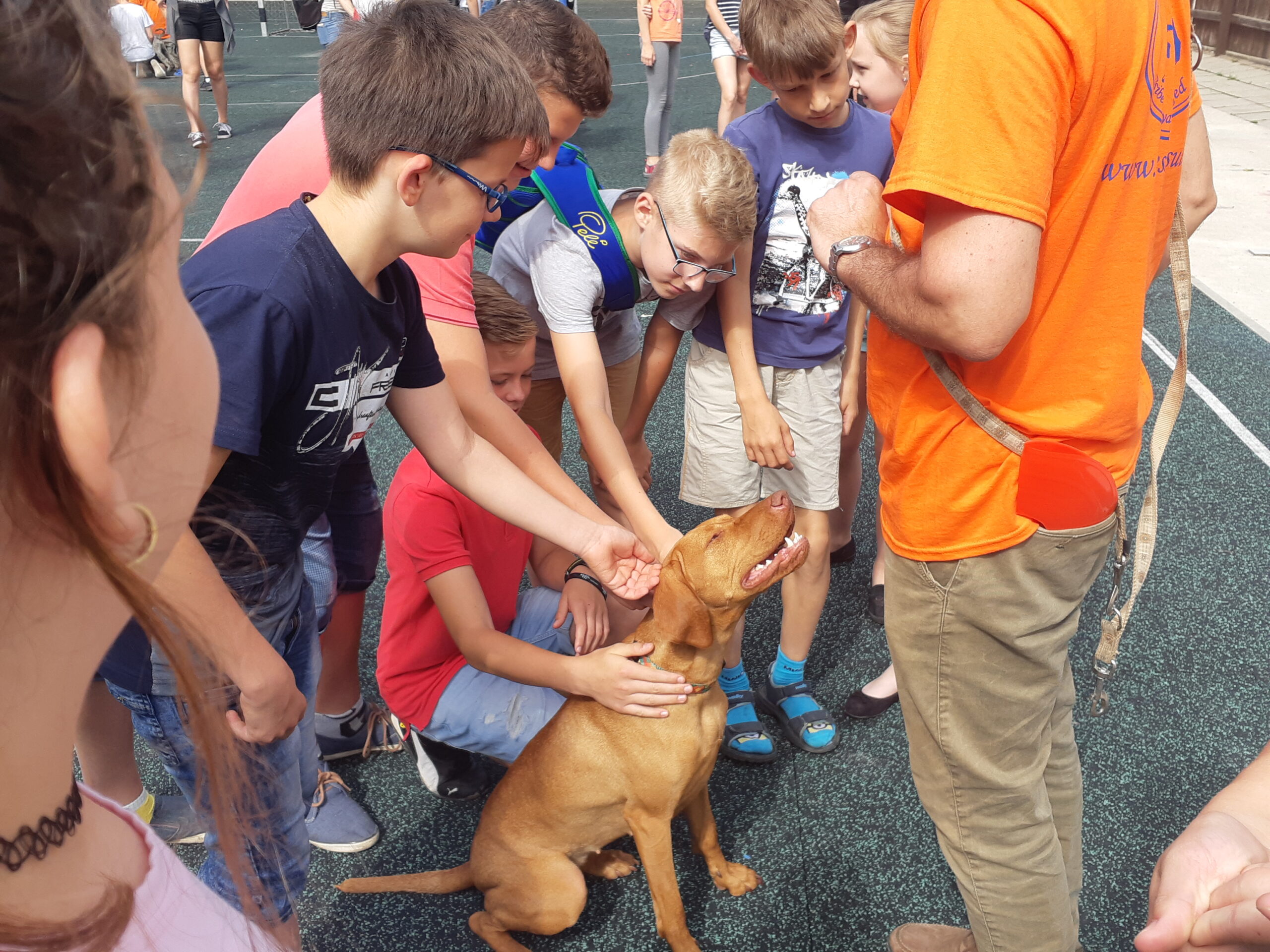 Trükkös kutyák szerepeltek a Bethlen egészségnapján 5