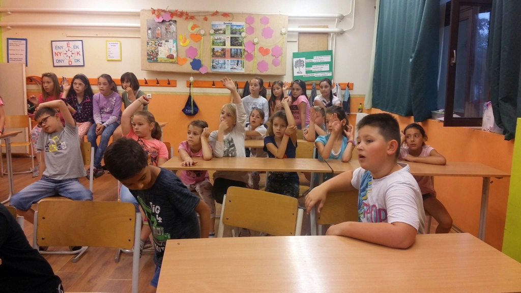 Az állatvédelem is összeköti Szegedet és Szabadkát 3