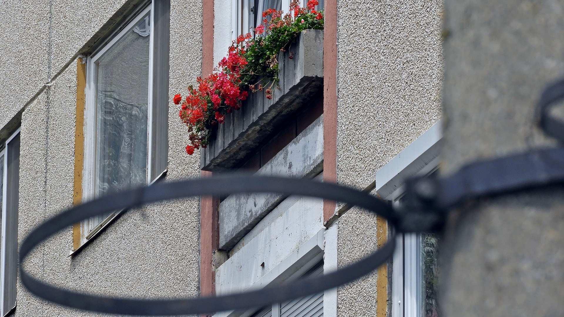 Kecskeméti Rita az eltűnt virágok nyomában 2