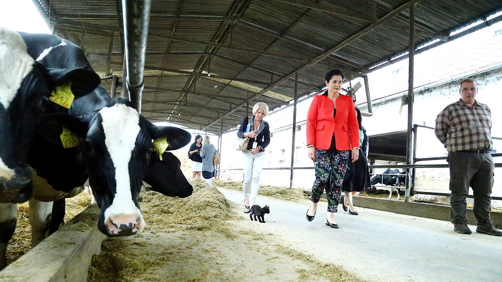 "Ha nem lenne a támogatás, két-három éven belül bezárnék" 14