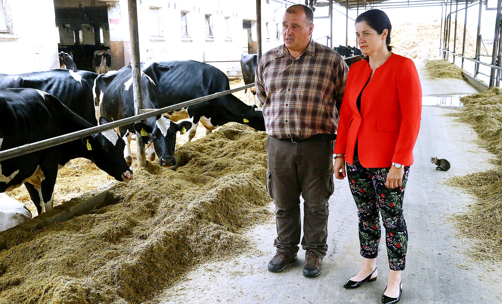 "Ha nem lenne a támogatás, két-három éven belül bezárnék" 7