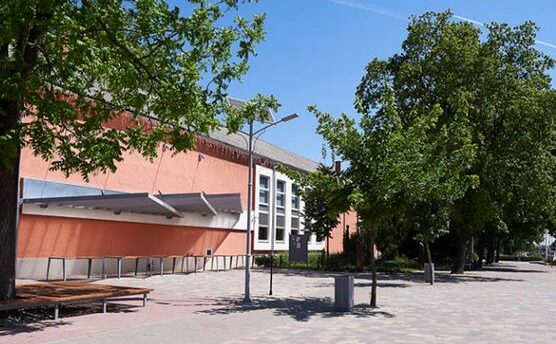 Mindszent és Székkutas is kap pénzt a közművelődésre