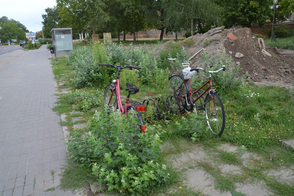 Velocipédek rejtőznek a Hősök téri bozótban 1