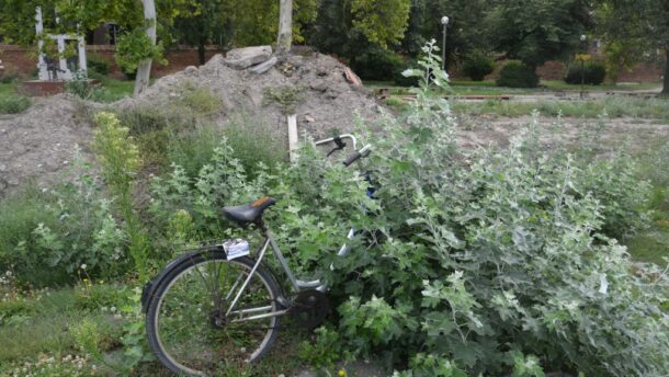 Velocipédek rejtőznek a Hősök téri bozótban