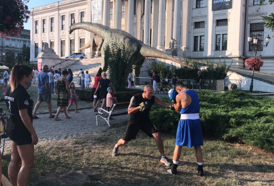 Arany és ezüstök a Boxing Gym Vásárhelynek 2