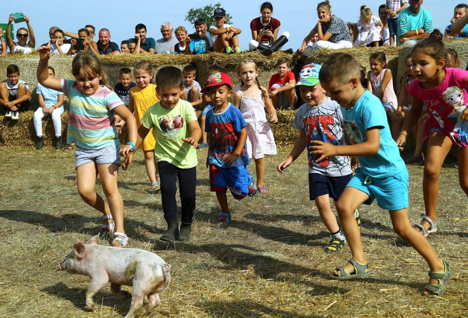 Kéktói fesztivál 30