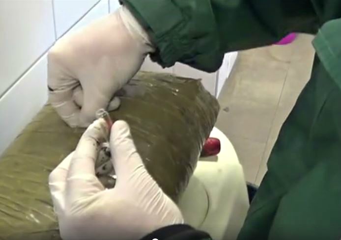 Tizenkét kilónyi drogot találtak egy autóban elrejtve Röszkénél