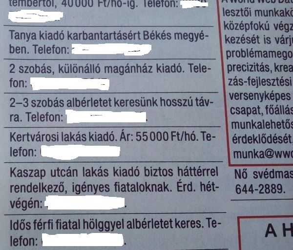 Egekbe szöktek az albérleti árak Vásárhelyen 1