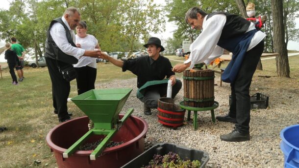 Két napig a szőlőt ünnepelték Sóshalmon 14