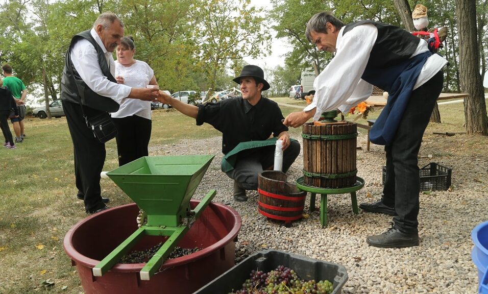 Két napig a szőlőt ünnepelték Sóshalmon 14