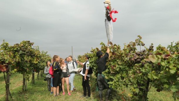 Két napig a szőlőt ünnepelték Sóshalmon 18