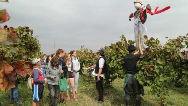 Két napig a szőlőt ünnepelték Sóshalmon 19