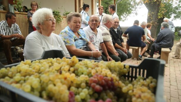 Két napig a szőlőt ünnepelték Sóshalmon 8