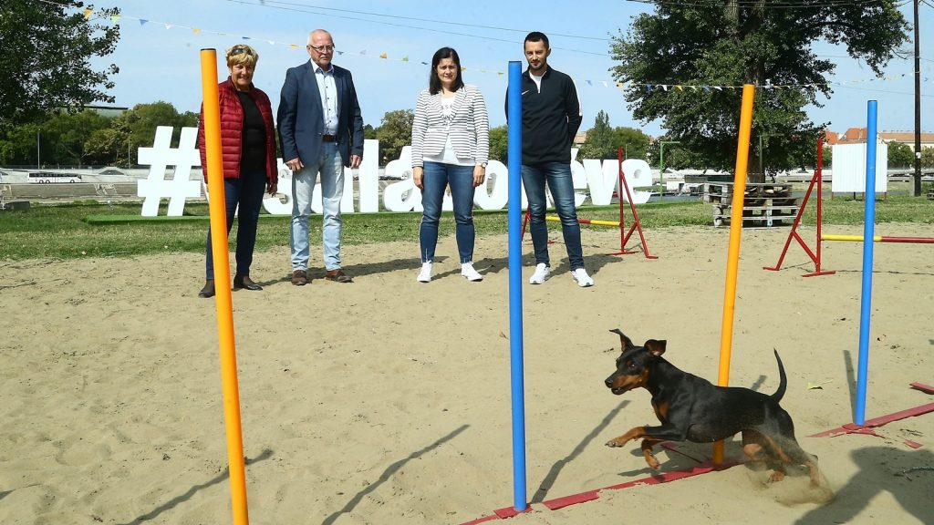 Családi Piknikkel búcsúztatták a nyarat 1