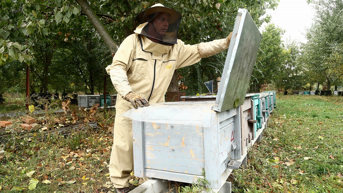 Keveset fogyasztjuk, pedig varázslatos egy szer és csodákra képes 2