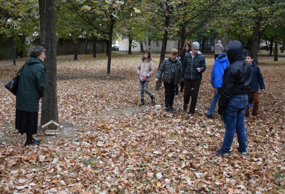 Madárodúk a környezetvédelem jegyében Makón