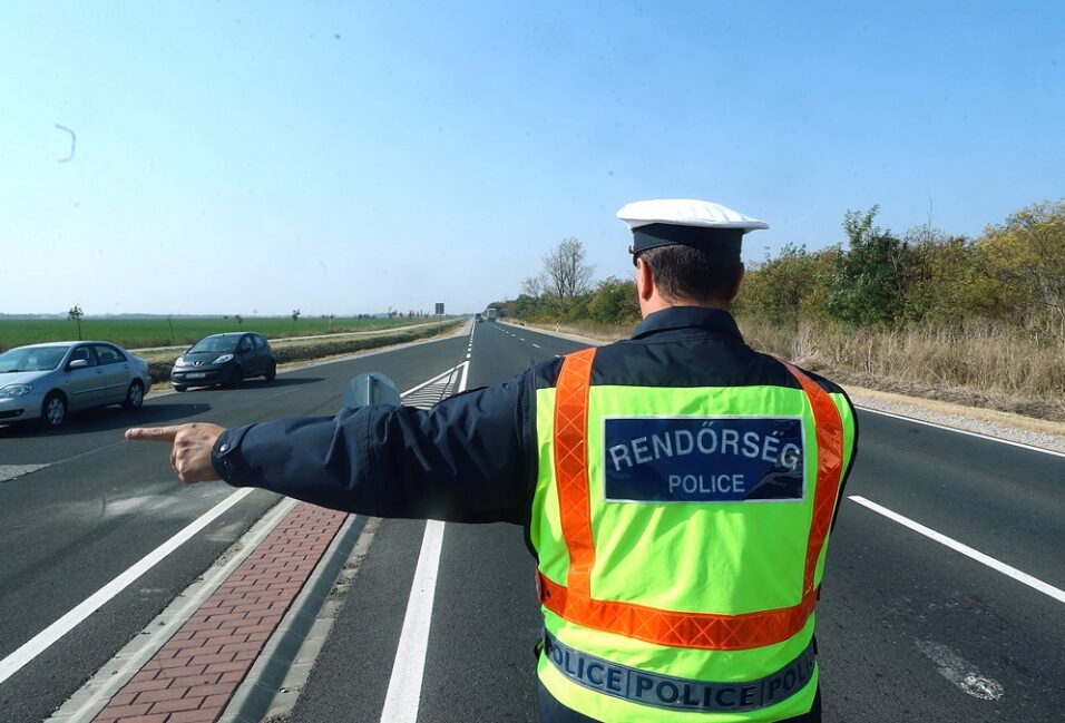 Preventív vadbaleseti akciót tartottak a Sóshalmi pihenőhelyen 6