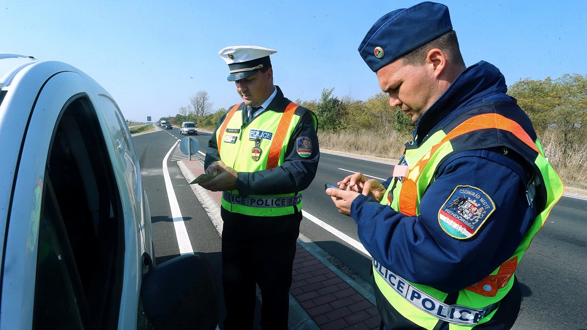 Preventív vadbaleseti akciót tartottak a Sóshalmi pihenőhelyen