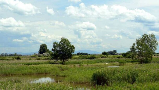 Uniós beruházásból javul a Körös-Maros Nemzeti Park szikespusztai és átéri élőhelyeinek állapota