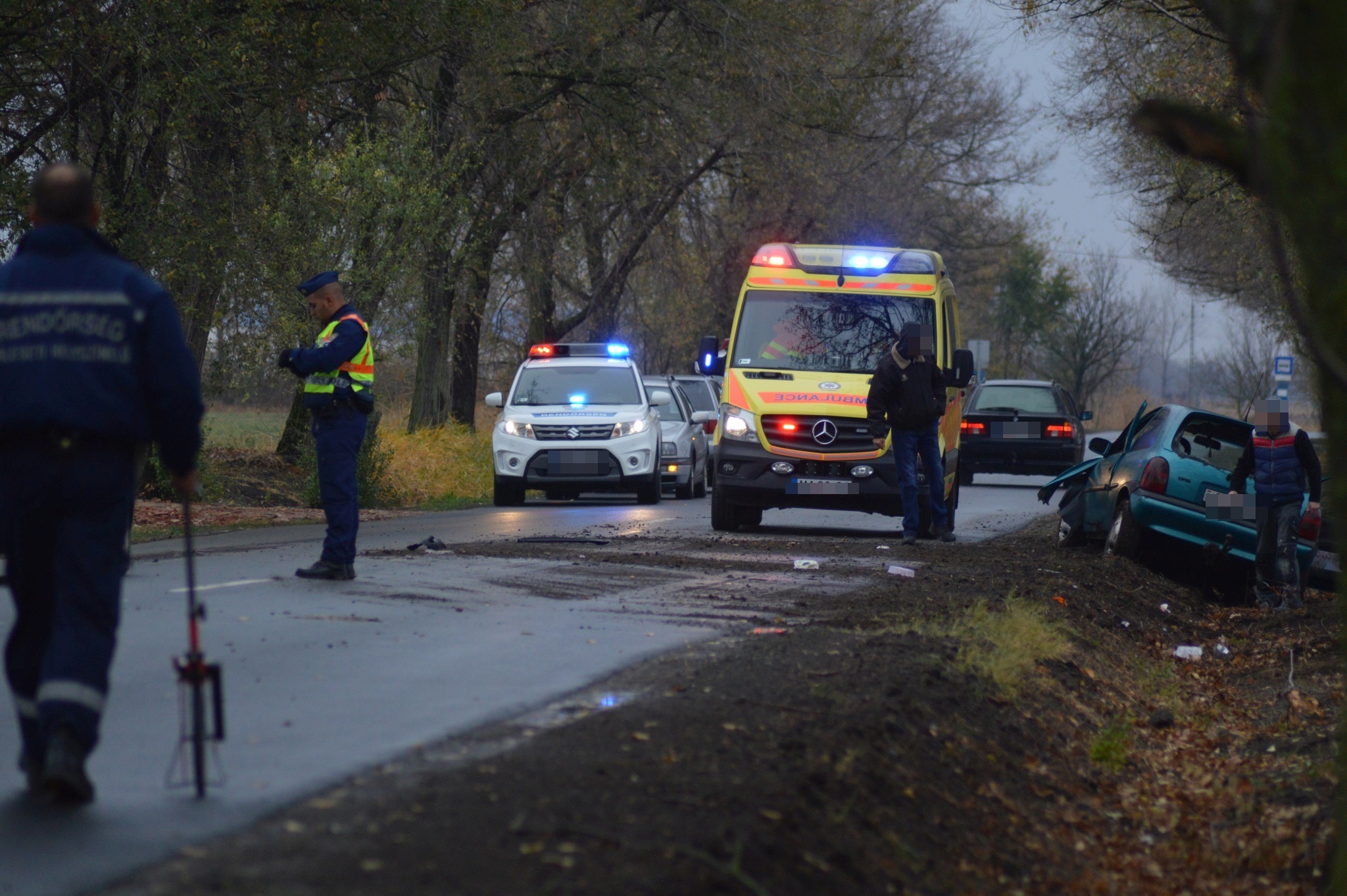 Fának csapódott egy autó Vásárhely és Mártély között