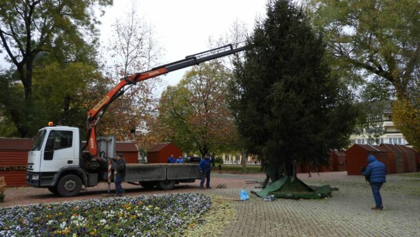 Felállították a város karácsonyfáját a Kossuth téren 9