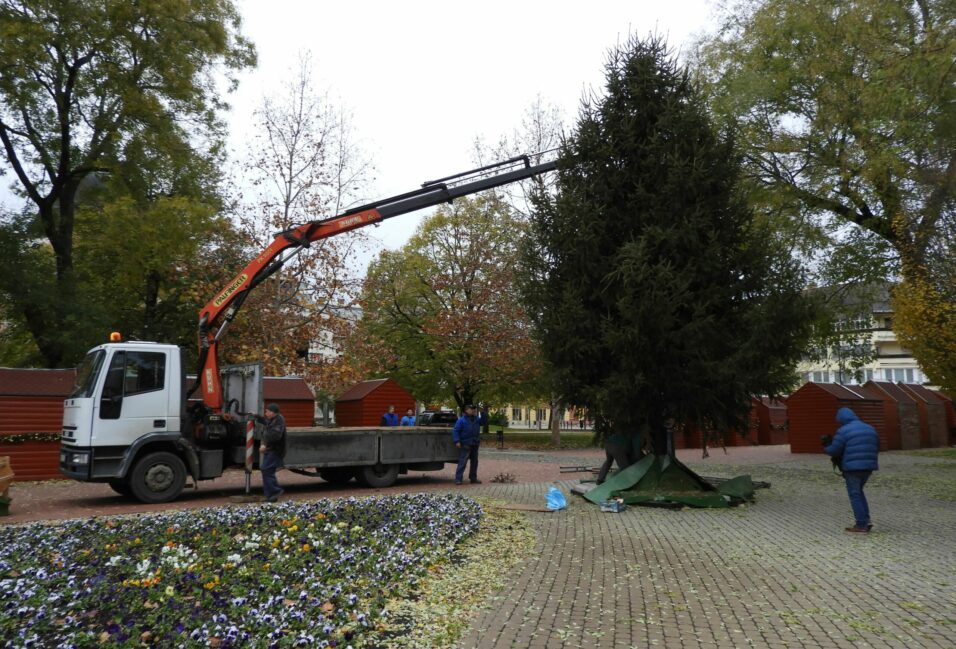 Felállították a város karácsonyfáját a Kossuth téren 9