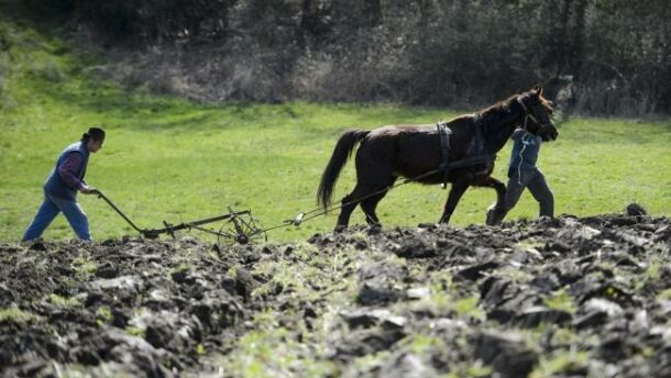 Évente 420 millió forint jut a Kárpát-medencei falugazdász program működtetésére