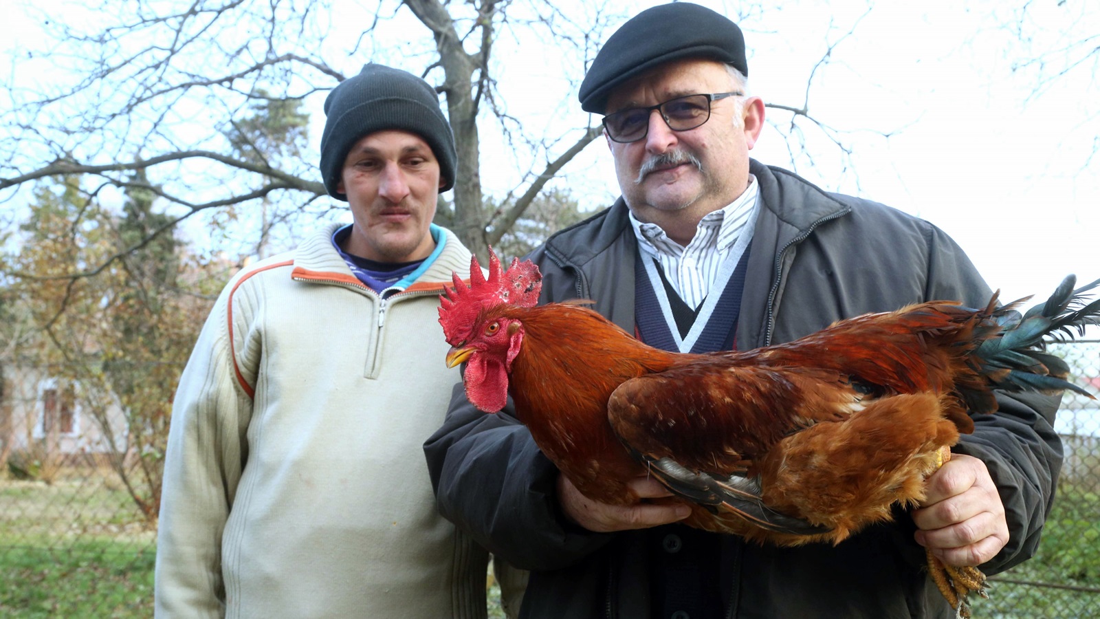 Fél sertést, kakast és őrölt paprikát kaptak a székkutasi közmunkások 1