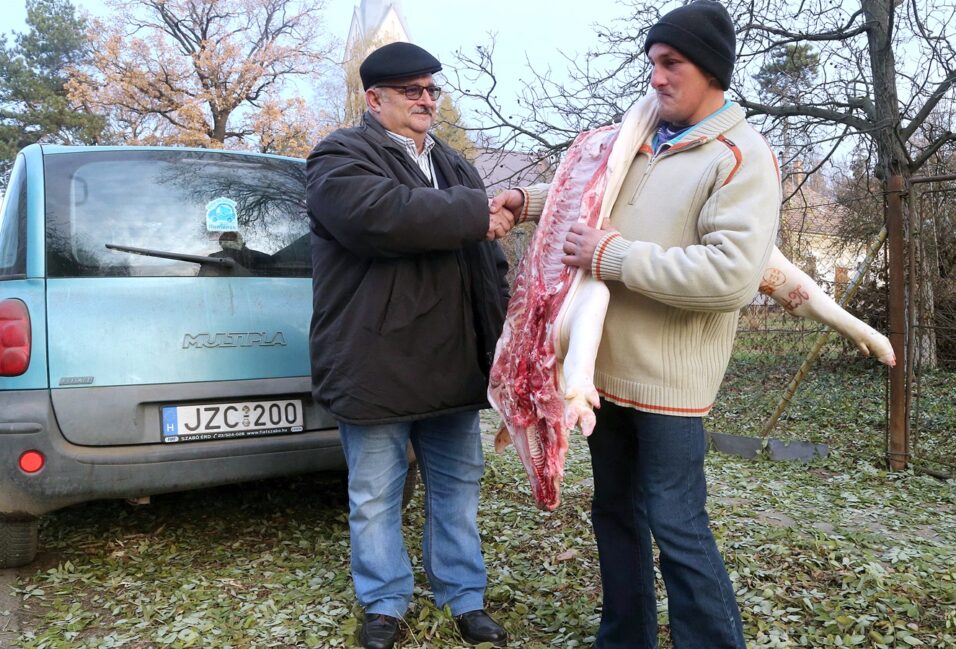 Fél sertést, kakast és őrölt paprikát kaptak a székkutasi közmunkások 2