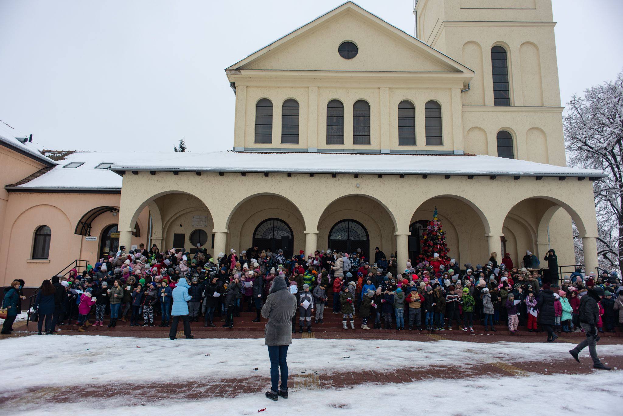 Szívecskés szeretetüzenetek a szeretet fáján 2