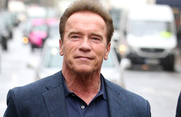 Arnold Schwarzenegger búcsúztathatja Andy Vajnát