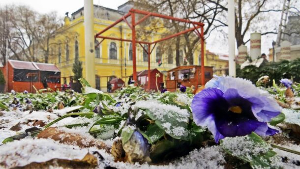 Megérkezett Vásárhelyre az év első hava 3