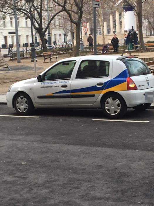 Budapest utcáit vigyázzák a vásárhelyi közterület-felügyelők? 2