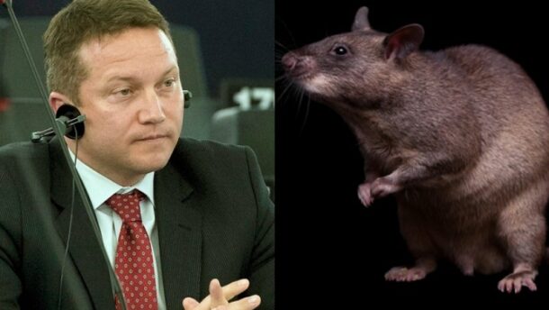 A dupla öngól beismerése: Ujhelyi kihátrált a patkányozásból