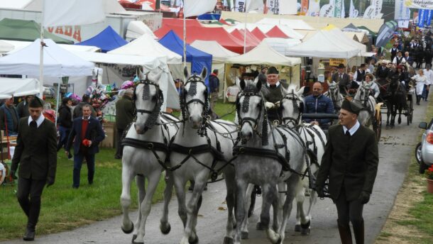 Idén is tízezreket várnak – megkezdődtek az Állattenyésztési és Mezőgazda Napok