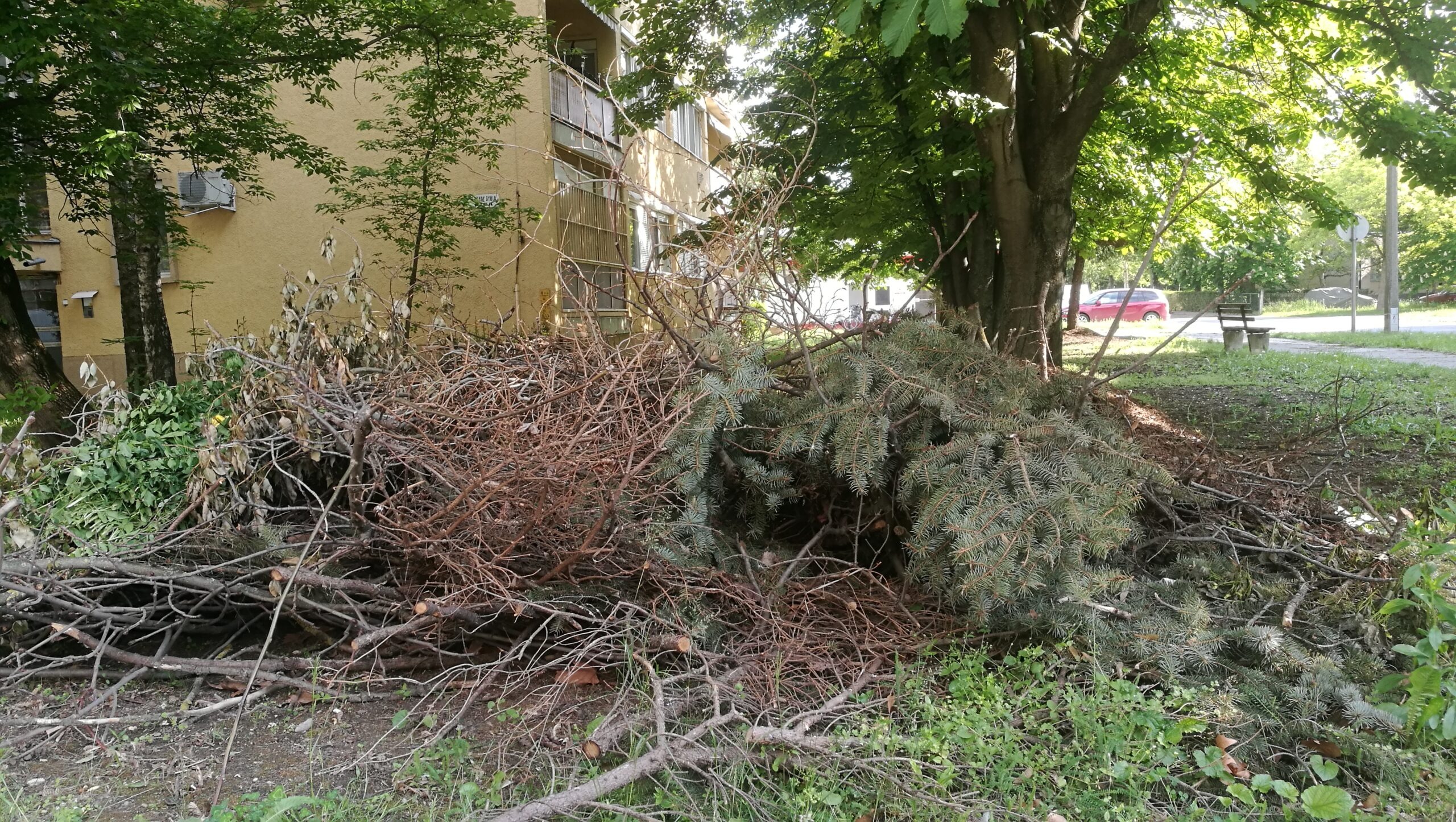 Elhanyagolt közterületekről küldtek képet olvasóink 2