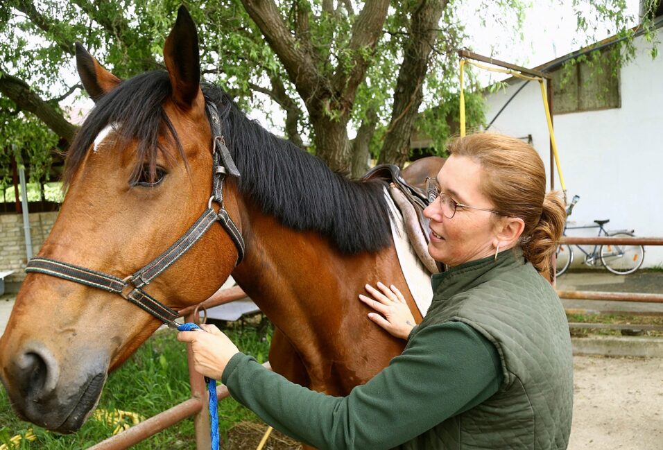 Gálné Bánfi Katalin: a lovaglás kortalan és nemtelen sport, éppen ezért mindenkinek ajánlott 12