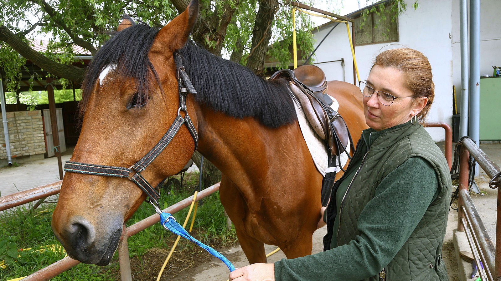 Gálné Bánfi Katalin: a lovaglás kortalan és nemtelen sport, éppen ezért mindenkinek ajánlott