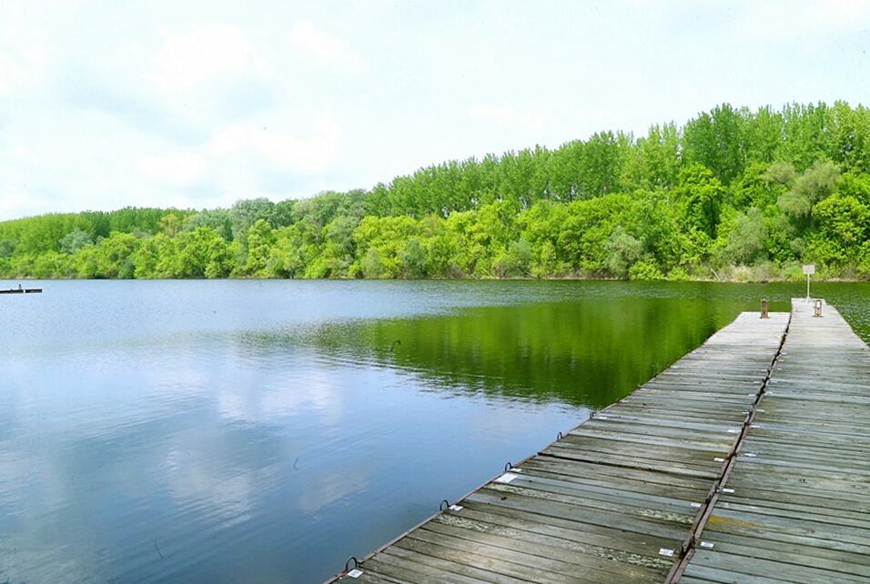 A Mi Hazánk Mozgalom megoldást sürget a Tisza hulladékszennyezésének felszámolására