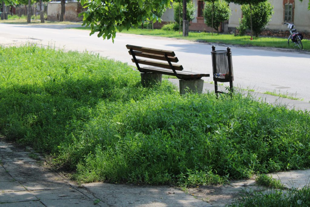 Akkora a fű a susáni játszótéren, hogy lovak legelnek rajta! 8