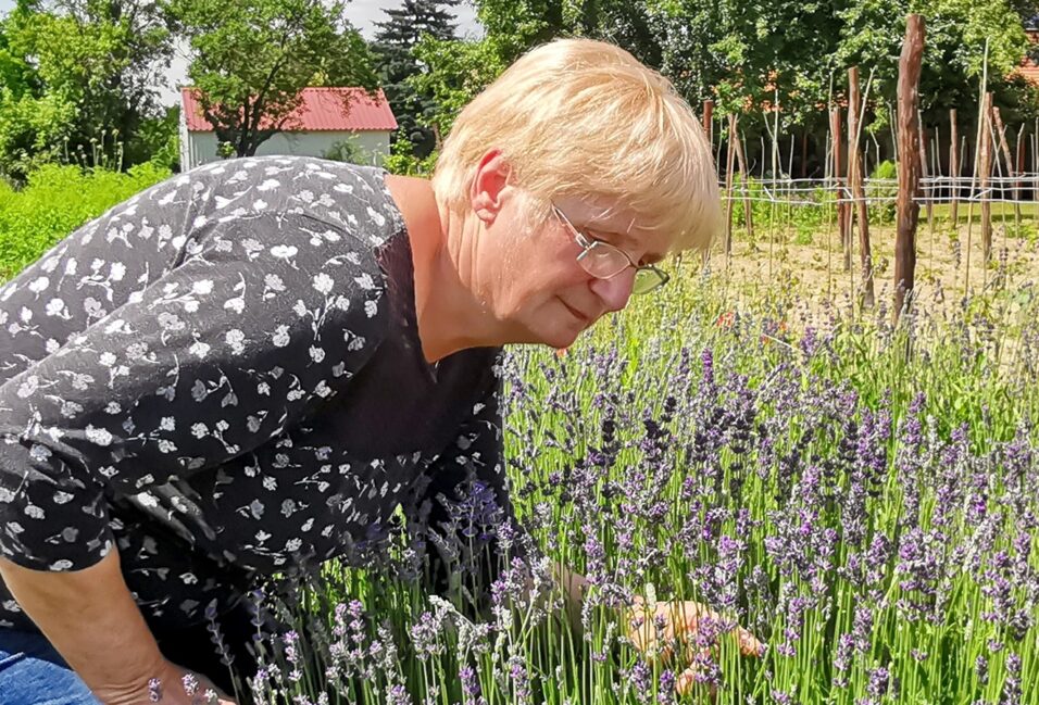 Berek Ágota: a gyógynövényeknek óriási szerepe van az életünkben, ezt közvetíti az Ezerjófű Egyesület