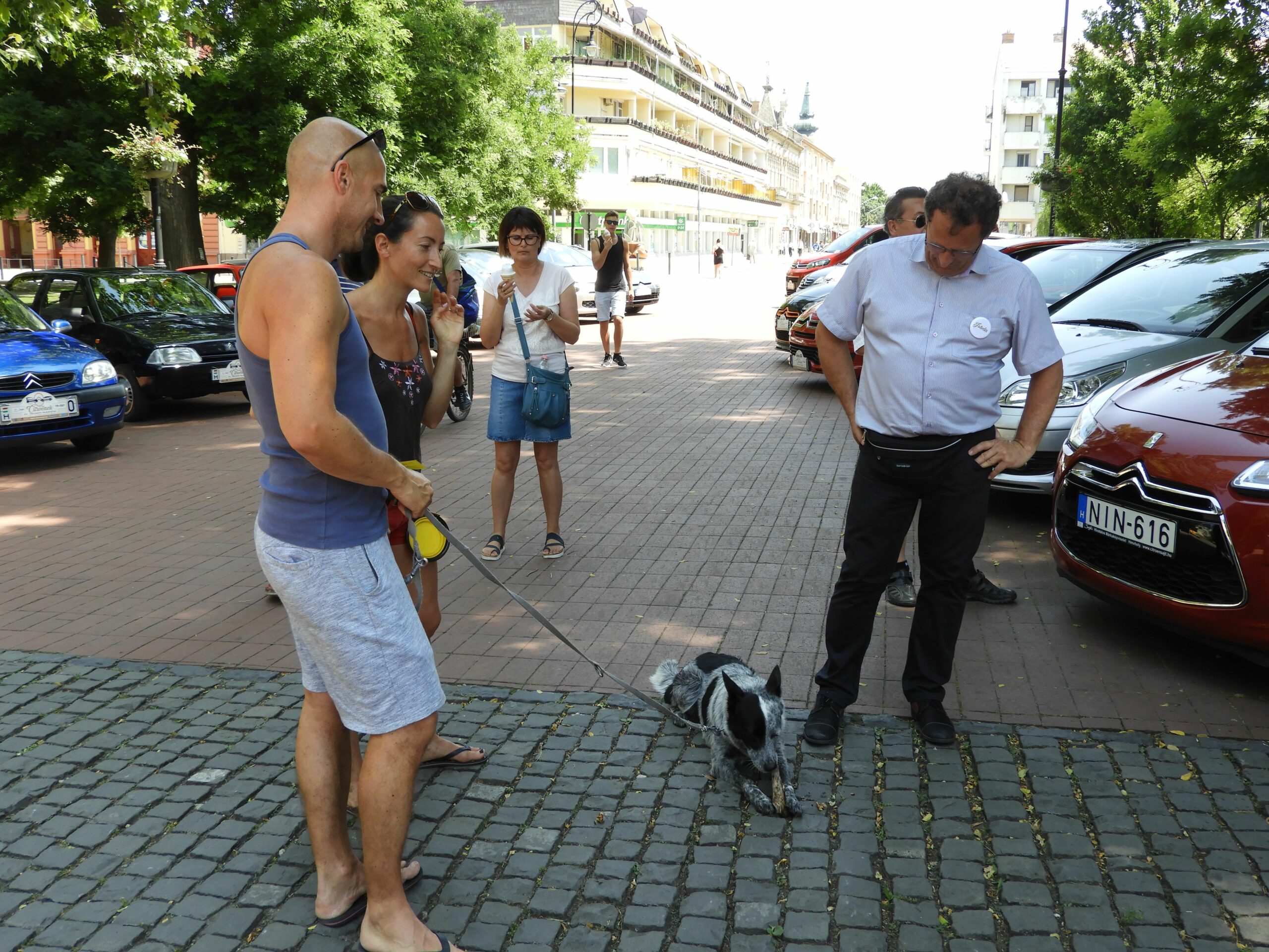 Fotókon a Kossuth téri Citroen találkozó 11